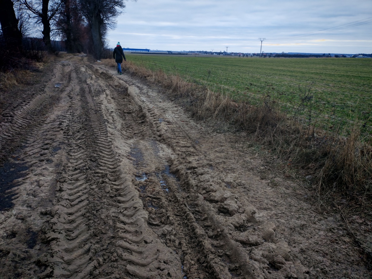 8d1eb078-d2a1-4720-a35e-af1db8f0ee5e