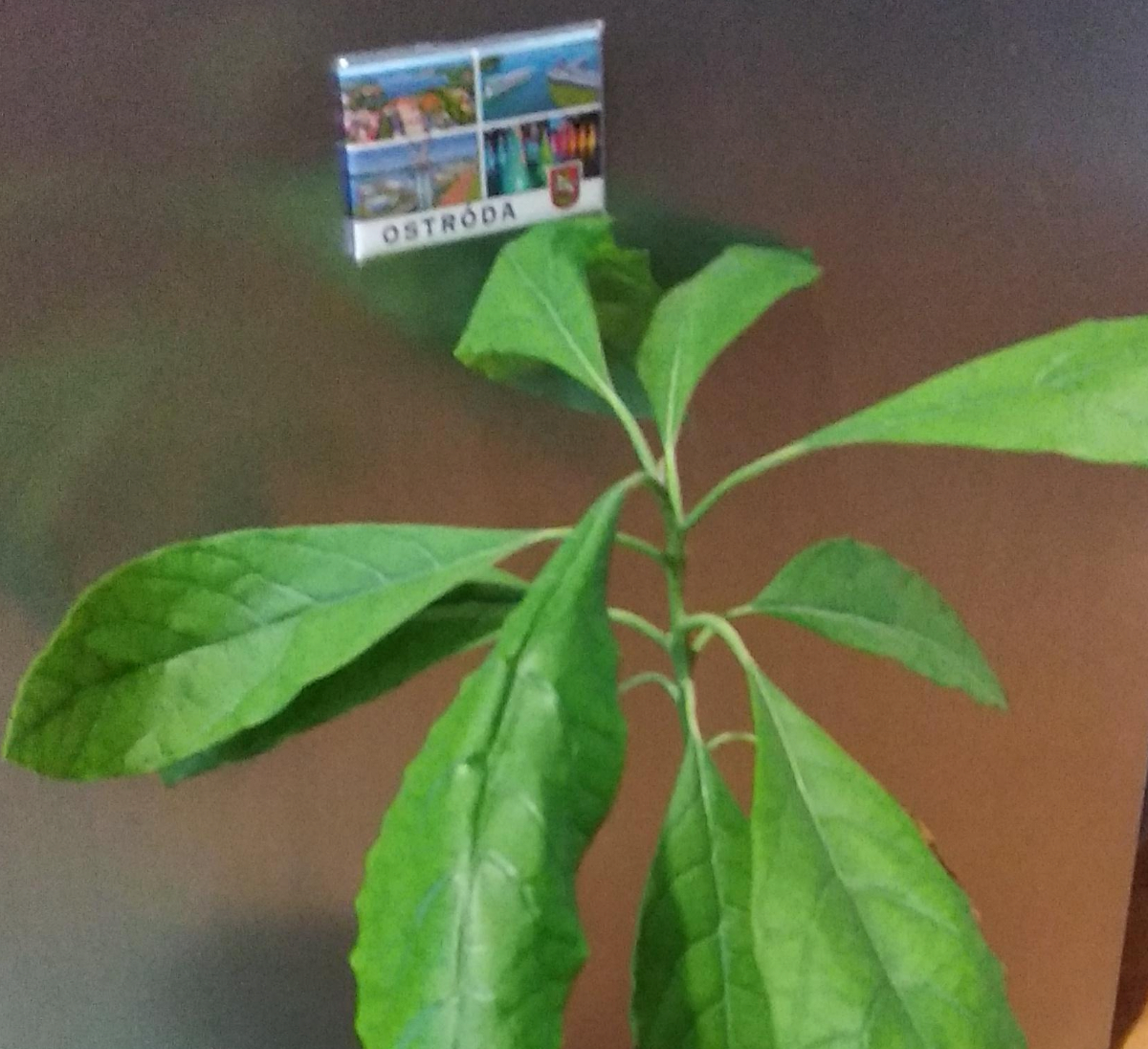 b7b23249-2d0c-474e-8a63-3d8b50b99e0f