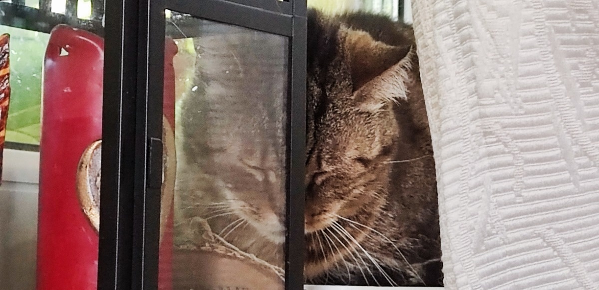 5c10bac6-0e1c-43ef-b5f6-9ba457f19e53