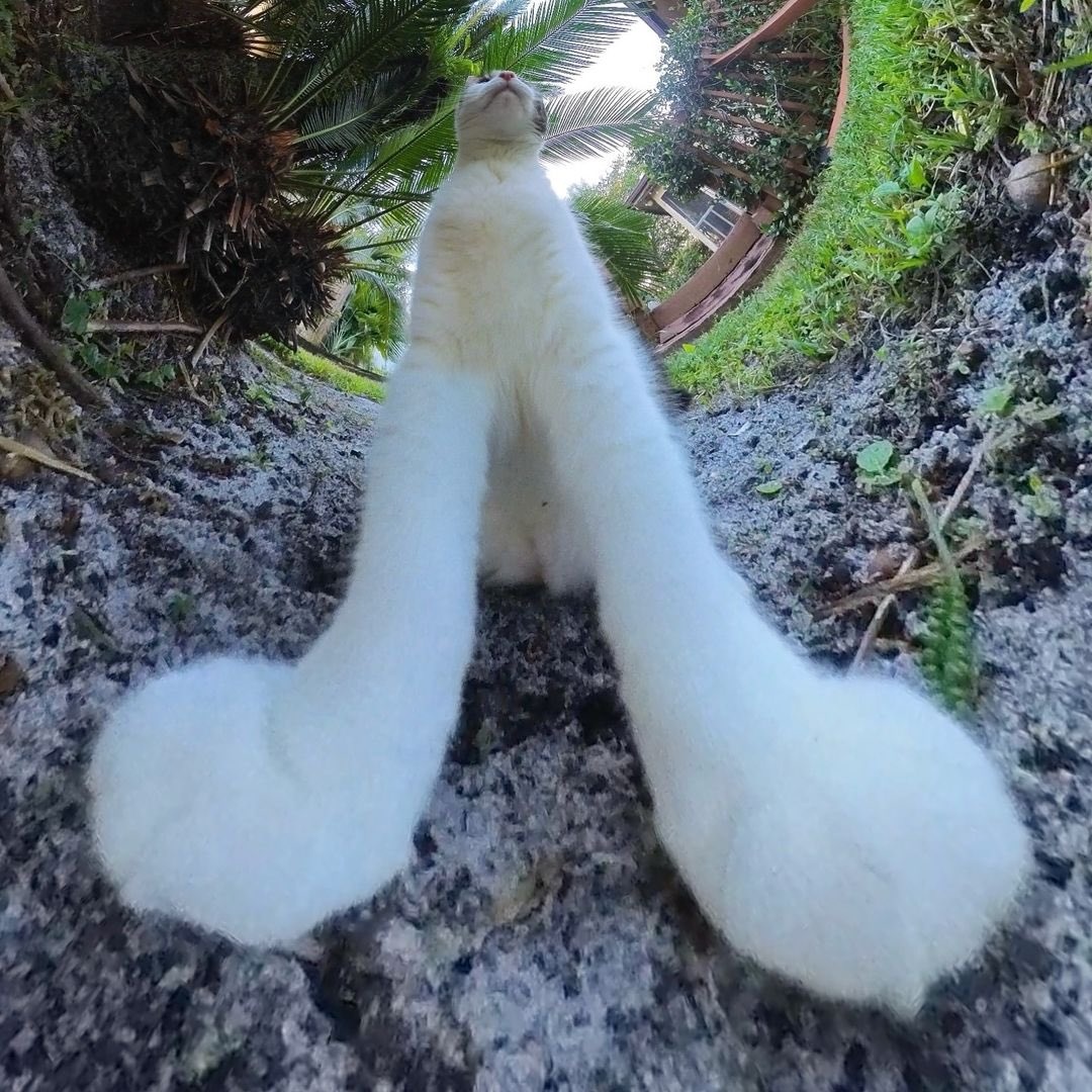 e0127156-5073-43ef-97d2-201dafd480ab