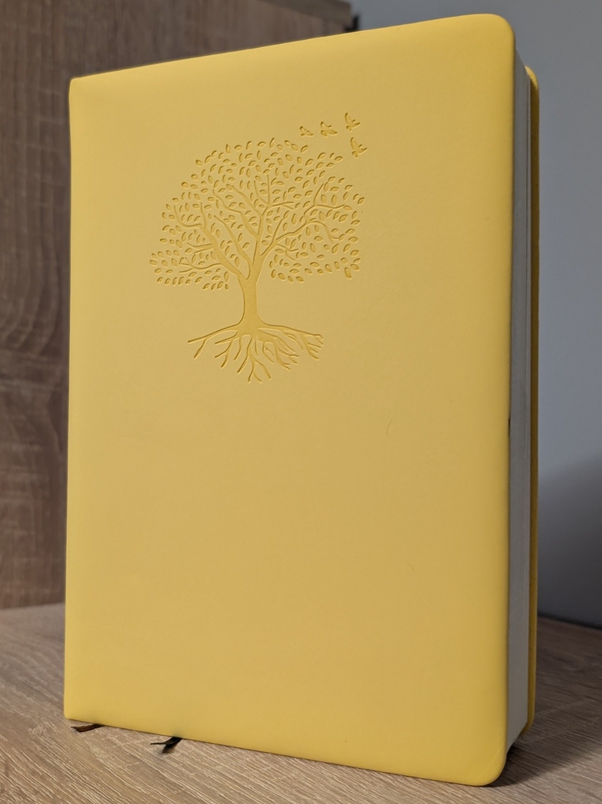 435b5bd7-1003-4492-a7e3-42d6aaadb818