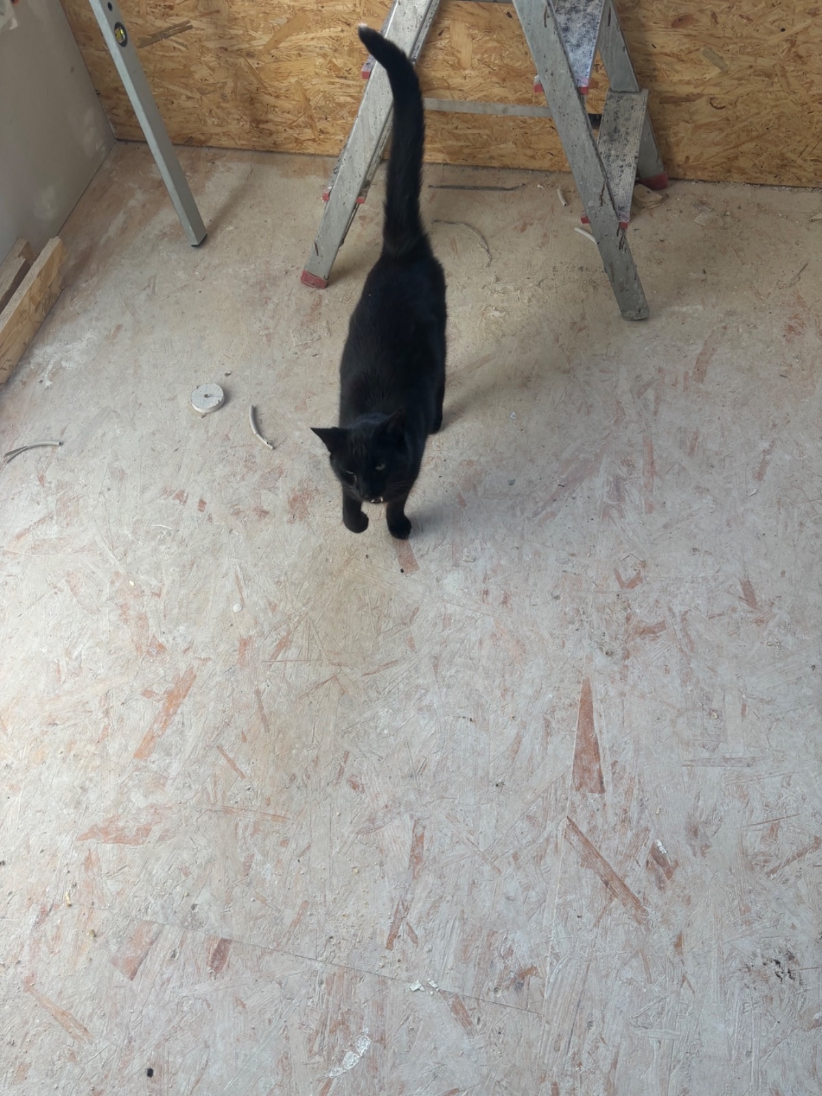 61a2156f-1cc2-4576-8d6e-b6a4f6f3fc9a