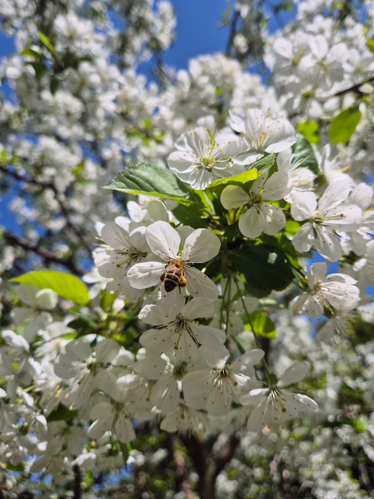 26d27d49-c918-4eda-ae37-7c1072762e94