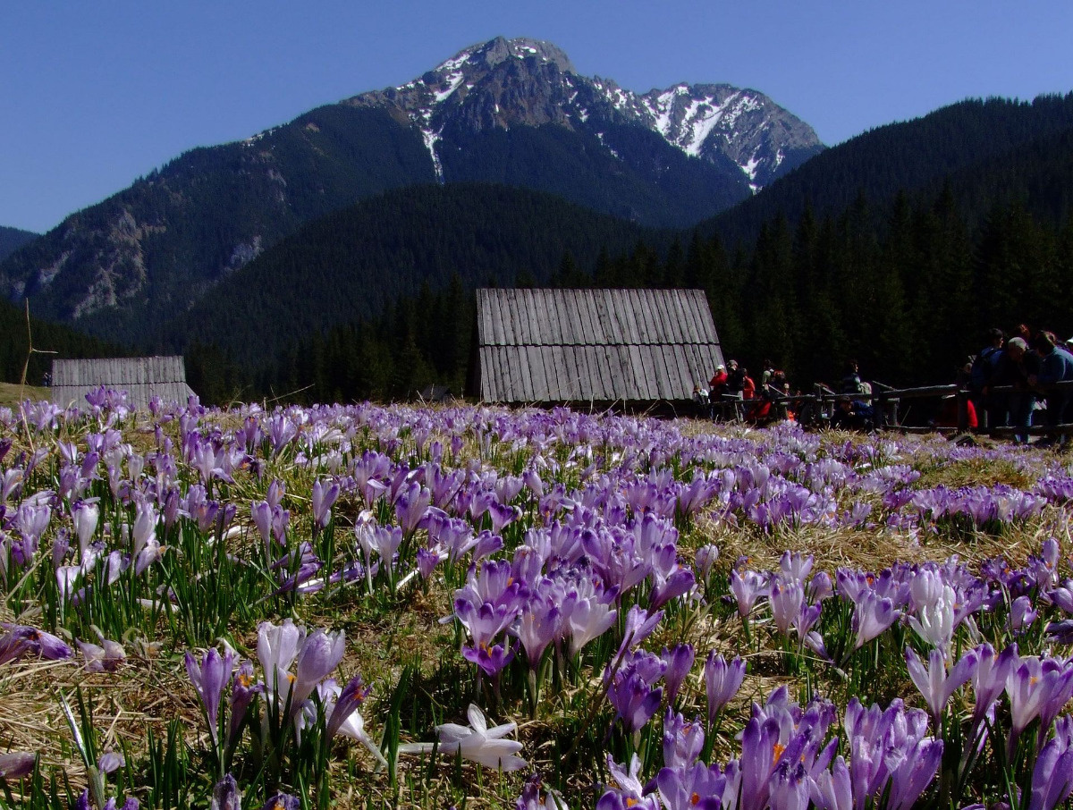 81e0218c-7346-4411-96fe-e44581025fa8