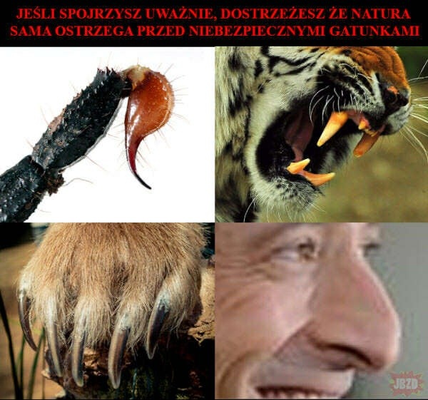 32d2373f-0ae0-40c0-b3ba-c8cec8270bc1