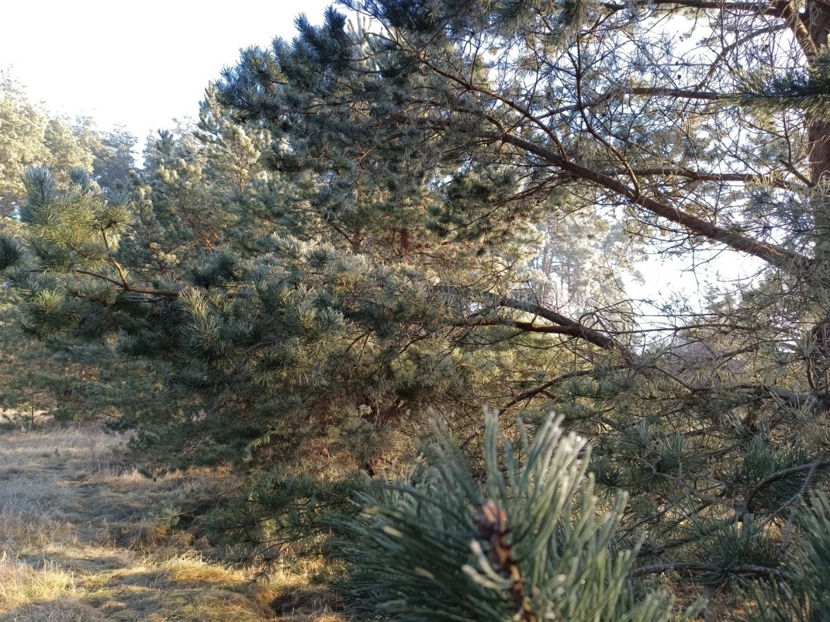 5be6590c-5f8a-459d-ba89-5a9c42934f5c