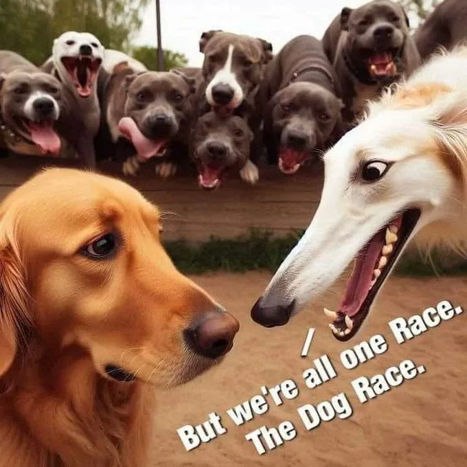 ca49afbf-1870-4ba3-b7c9-bed82b548a16