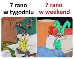 81a1e1e4-d33e-480d-8c37-14bc4f4a78d6