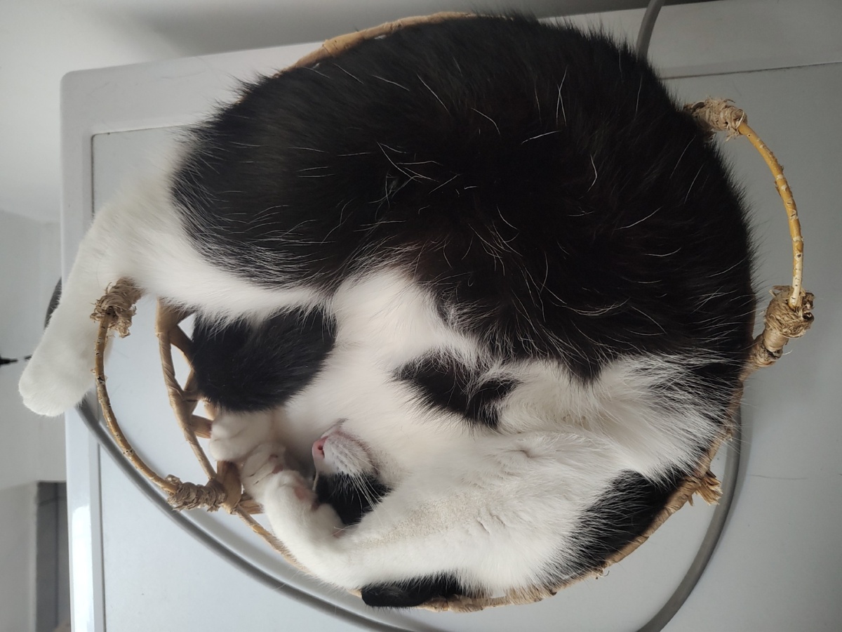 8f453d6c-6493-47b4-8856-1920cf909946