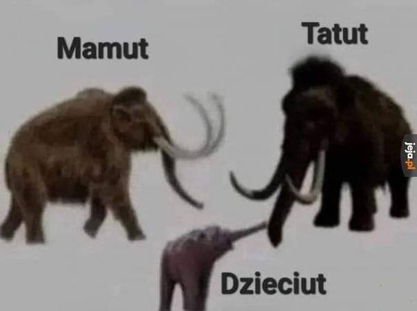 28e85a8d-46b7-4bcb-b575-c1998cdc9ae4