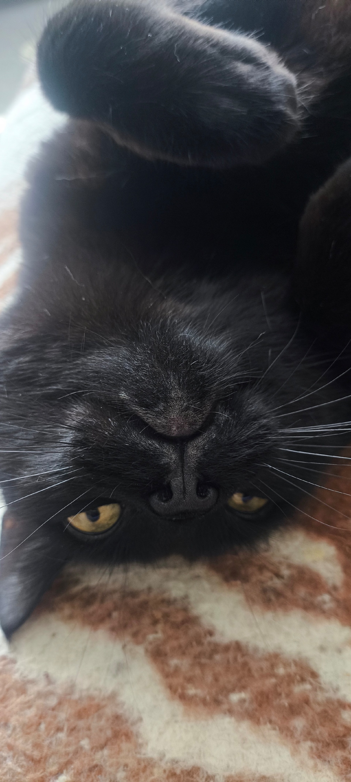 aaca54c5-9775-459d-871b-114a5a288e0d