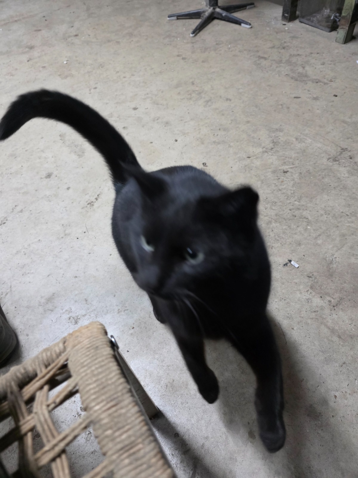 f475bc1e-ebc1-4e9e-89ce-f8432e26682d