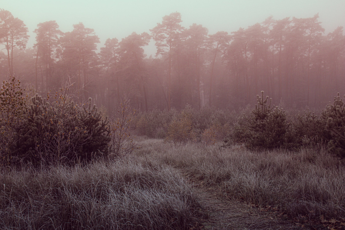 d1e1ab40-614a-4584-a228-e5327aa2a4db