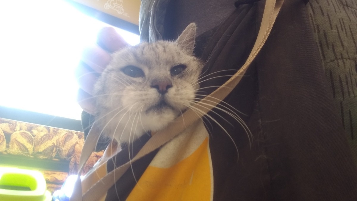 85819dc8-ae6e-42c5-a305-d1fce4ff86f1