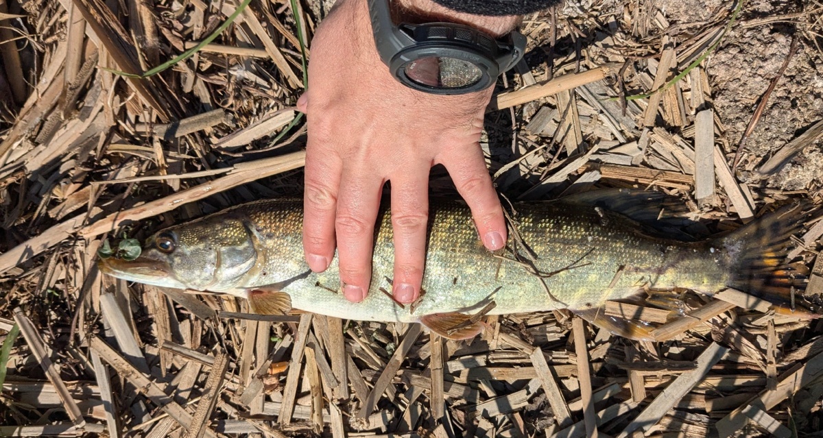 5c949139-ec1f-4e1b-9535-f7313a578be7