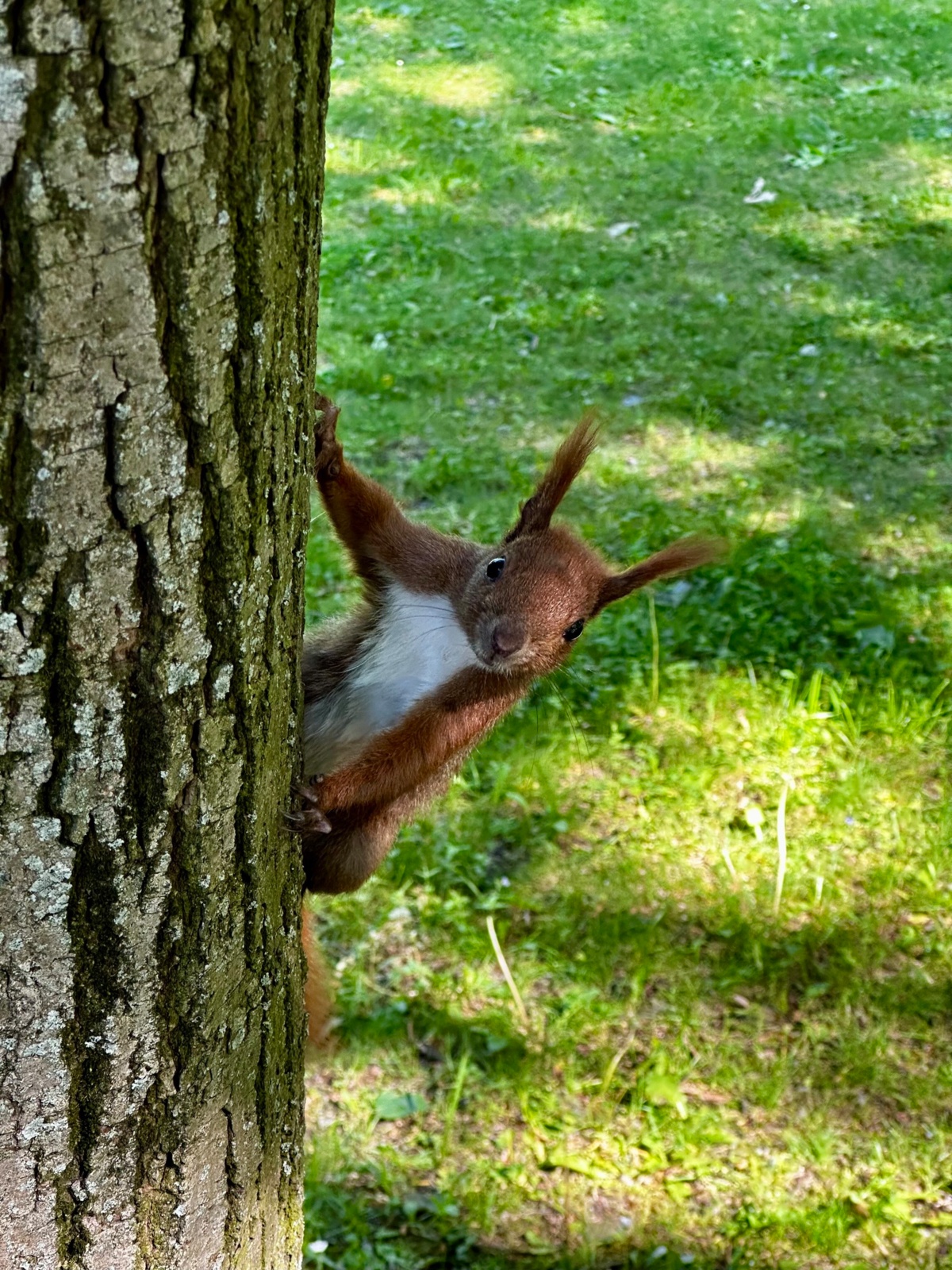 f3349cb4-4002-4e04-b900-44c4710ec982