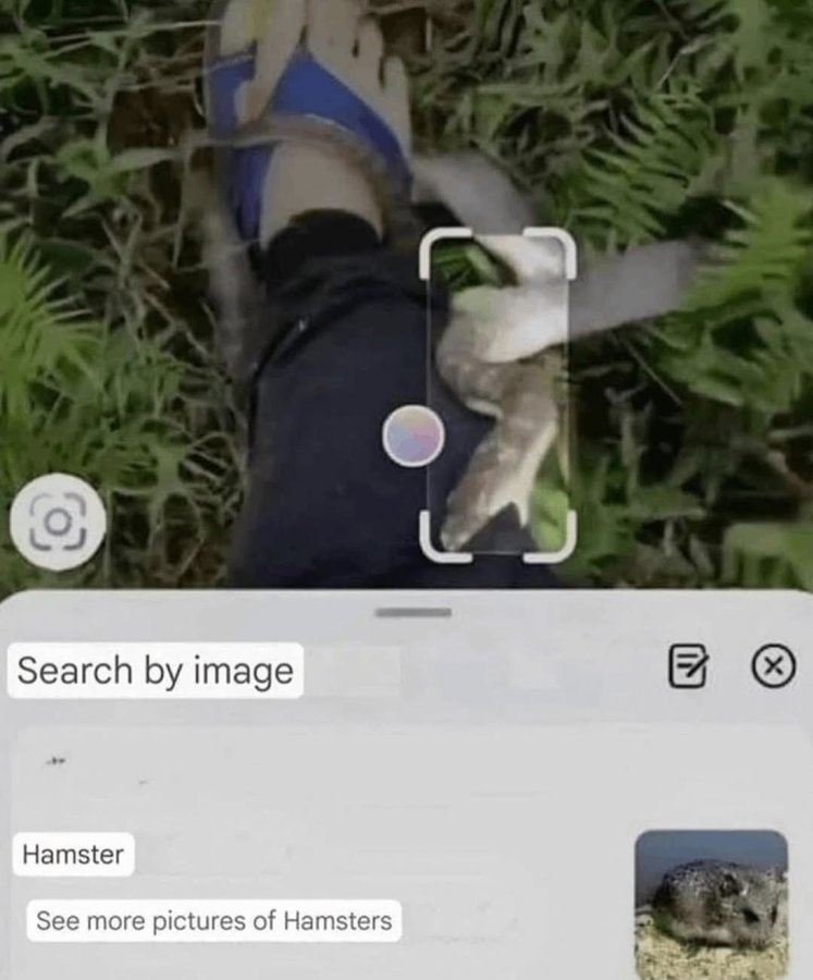 fcf39cf6-c252-4c33-ae90-87751ca50bfb