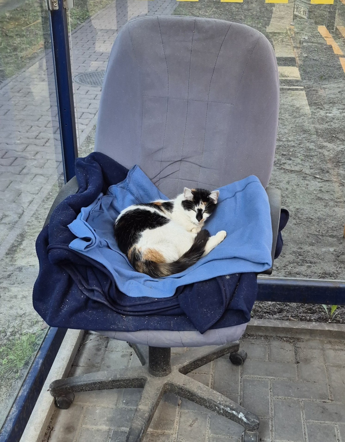 80c285f6-01d3-4007-a9e9-6b744e55fc7b