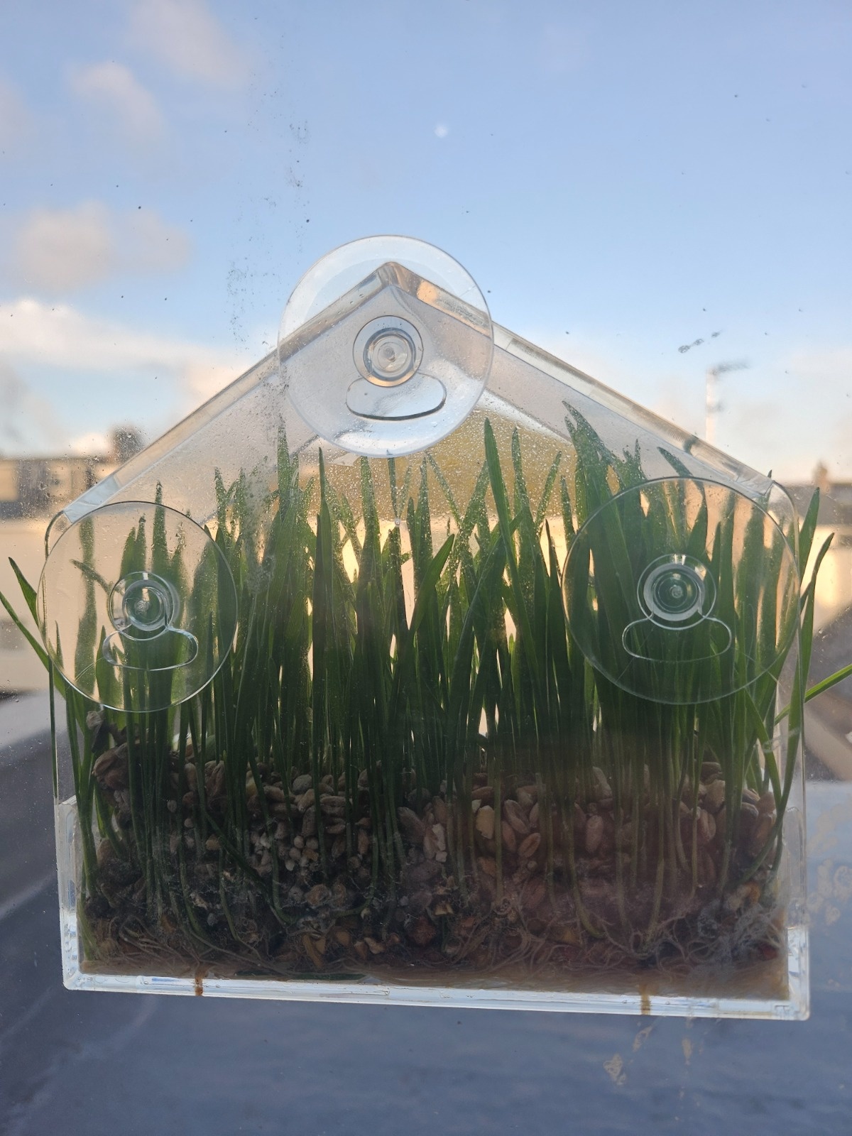 66f9355f-63dd-44f5-87f9-024afd93106a