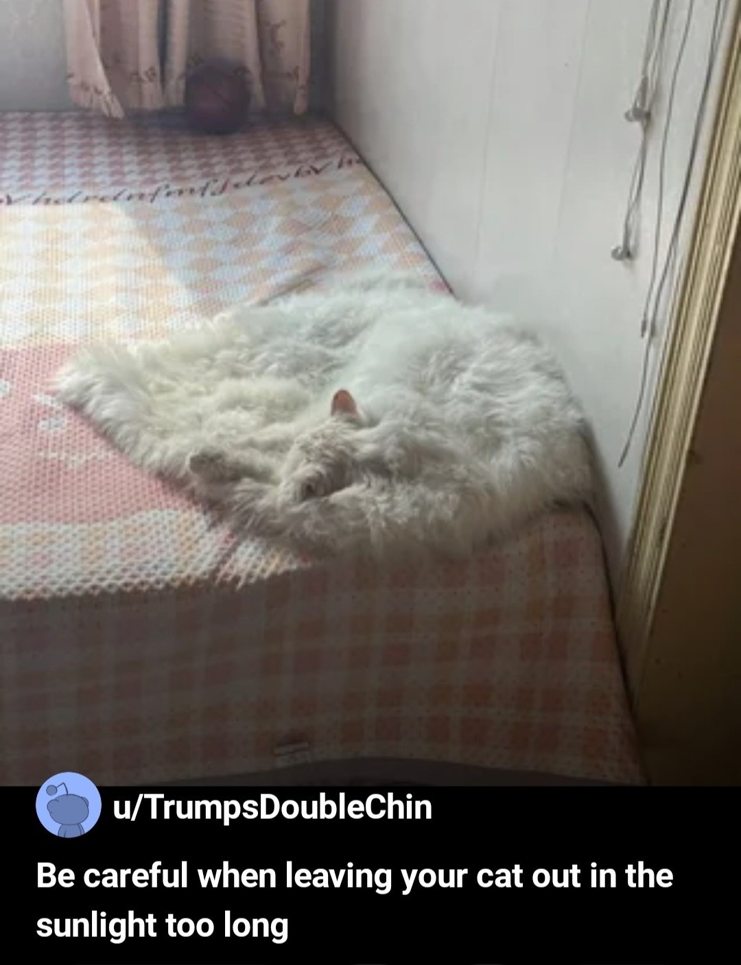 724b7379-e66a-4522-b197-4b944f66682a