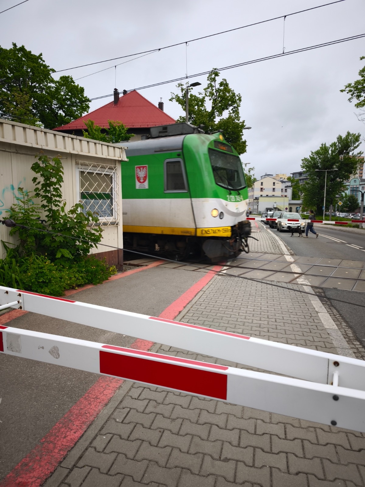 92e9d47f-64c2-4df7-9012-9bf87d5194bf