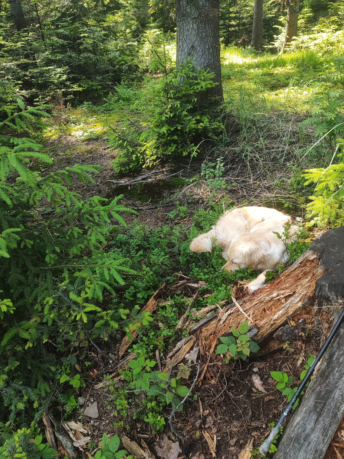 5019b5c2-bf16-4fe0-9942-3f06fd0867e3