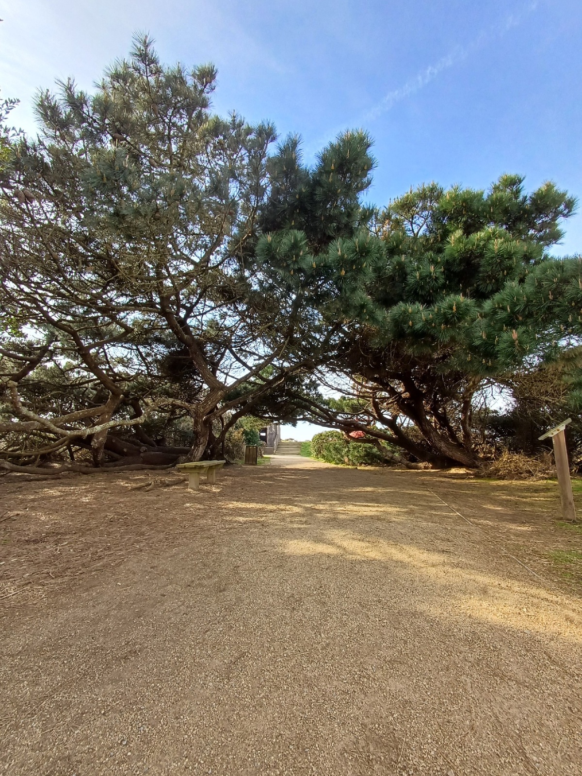 4d30442a-316f-4109-b217-a3ce5fa8a0f0