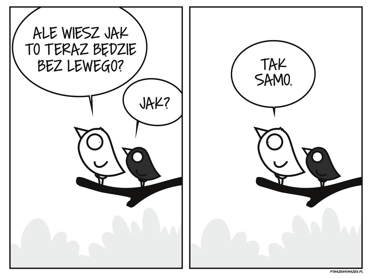 41d1c4a5-2fb7-4181-b517-103e1ccce58a