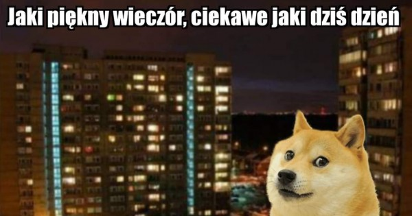 dd597947-b59e-407d-bd3f-03e468766828