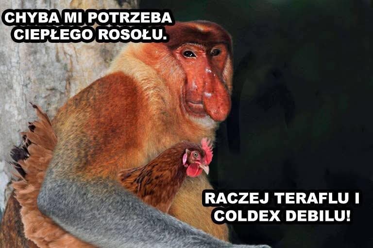 cf2d2272-881b-4fb3-9607-3a8b6f9ed2f0