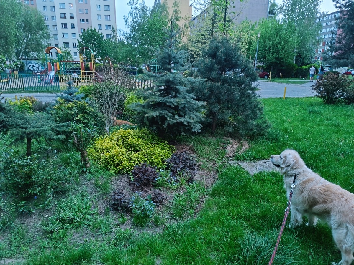 23f84da2-d541-43a7-bac6-5abd10157a25