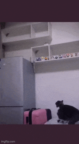 6ed69fa7-6e4a-4fb2-a10c-fc3d019e0b3e