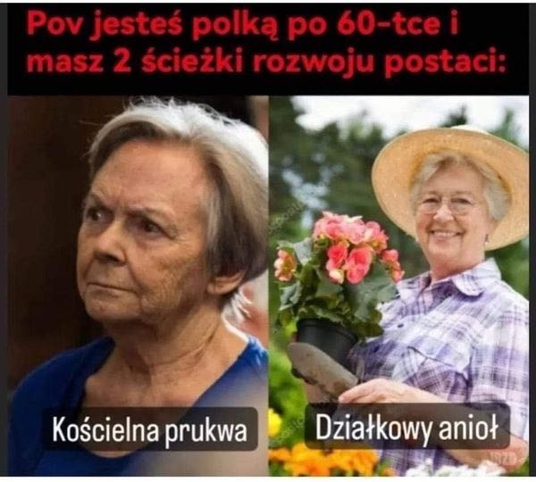 4bff51fc-6be9-4c8d-871c-efca2de6565c