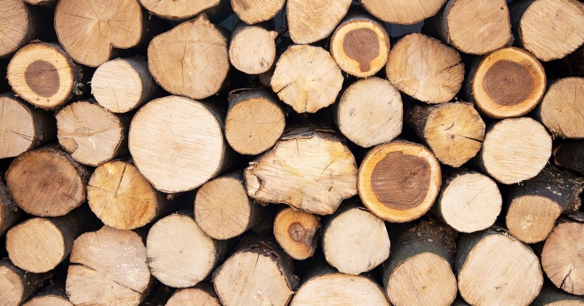 Drewno zostanie surowcem strategicznym? Taki plan ma ministerstwo rozwoju. Co to oznacza dla Polaków?
