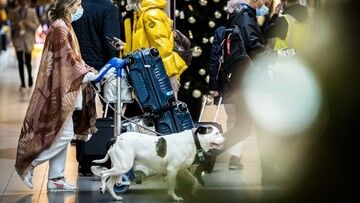 Holandia. 18 pasażerów lotu z Johannesburga zakażonych wariantem Omikron