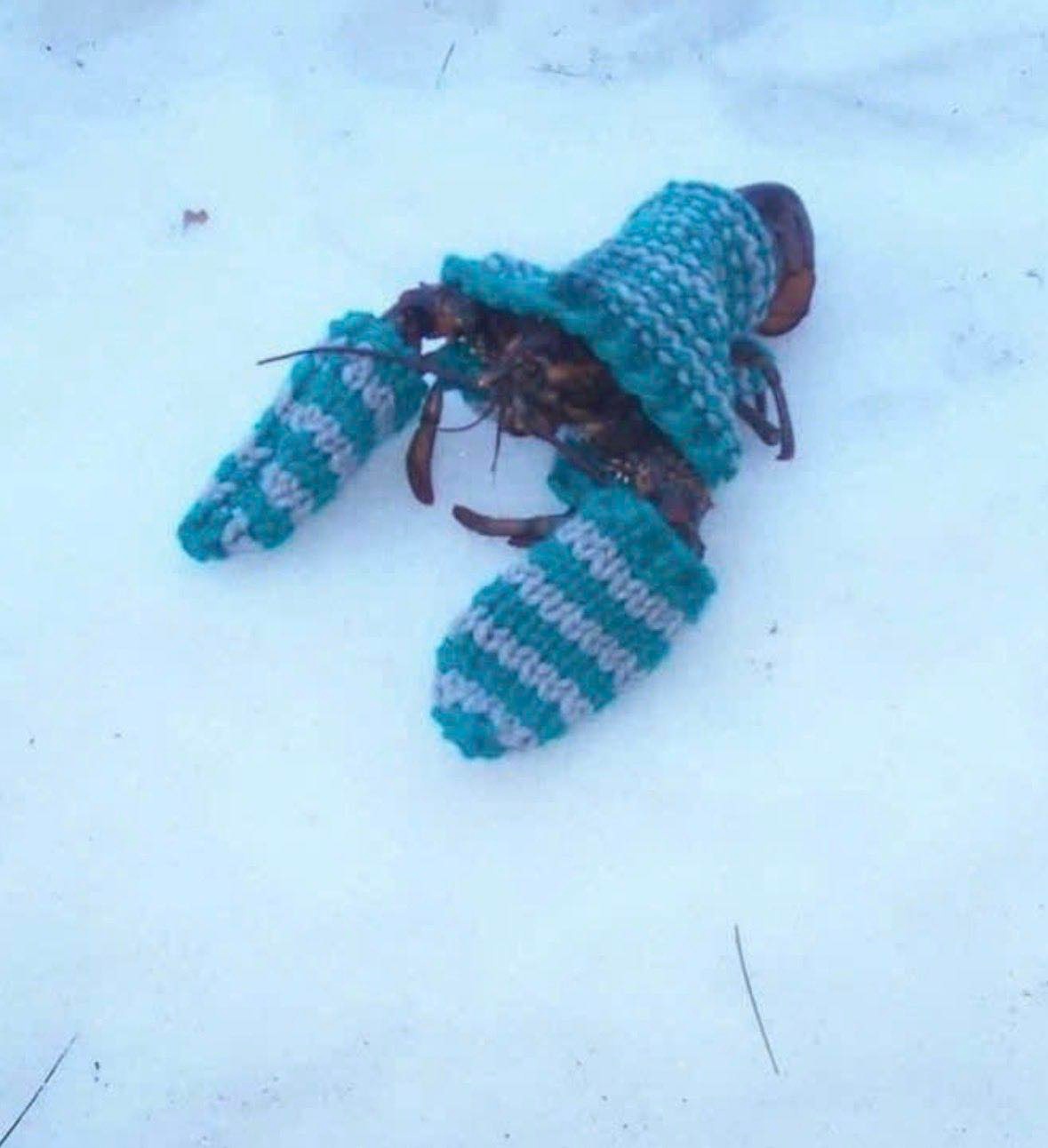 e6f60c01-2e92-4ad9-bdc5-7fd31635239a