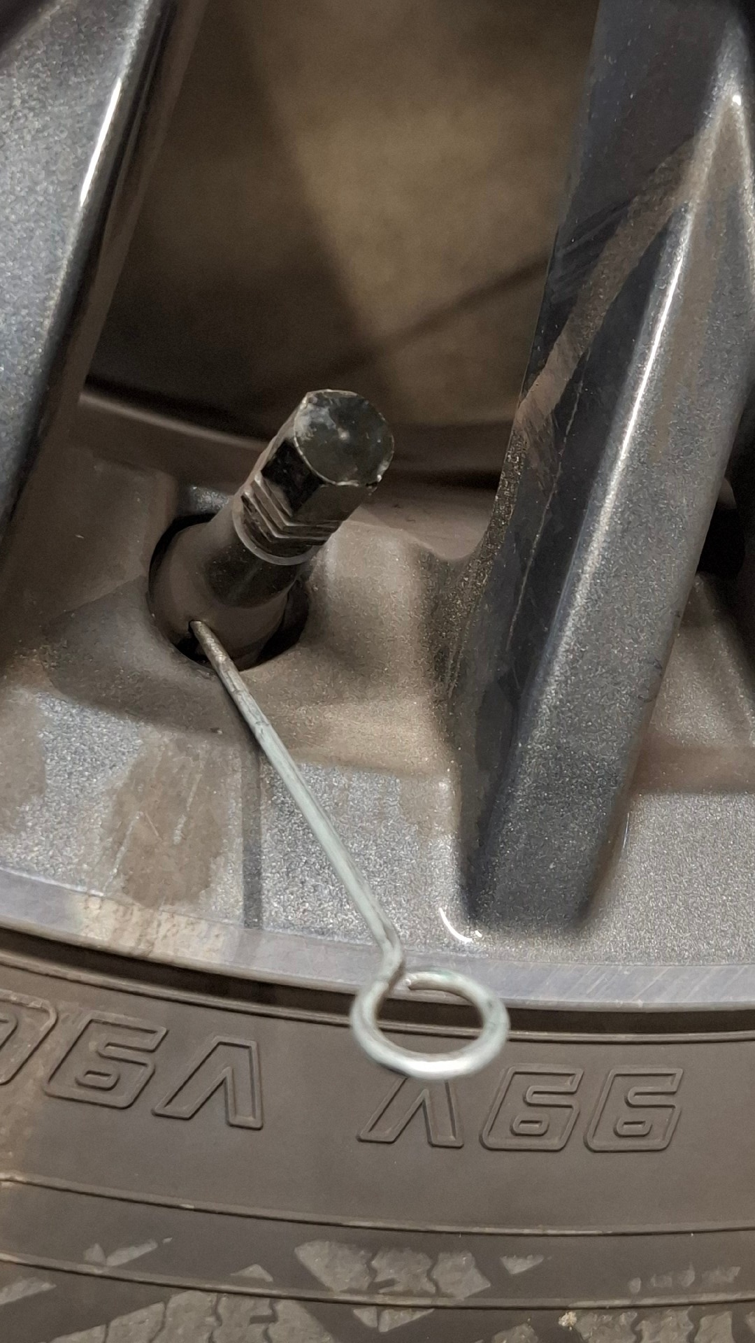 9d057769-a66a-4bbb-a2f8-847e2aa9187c