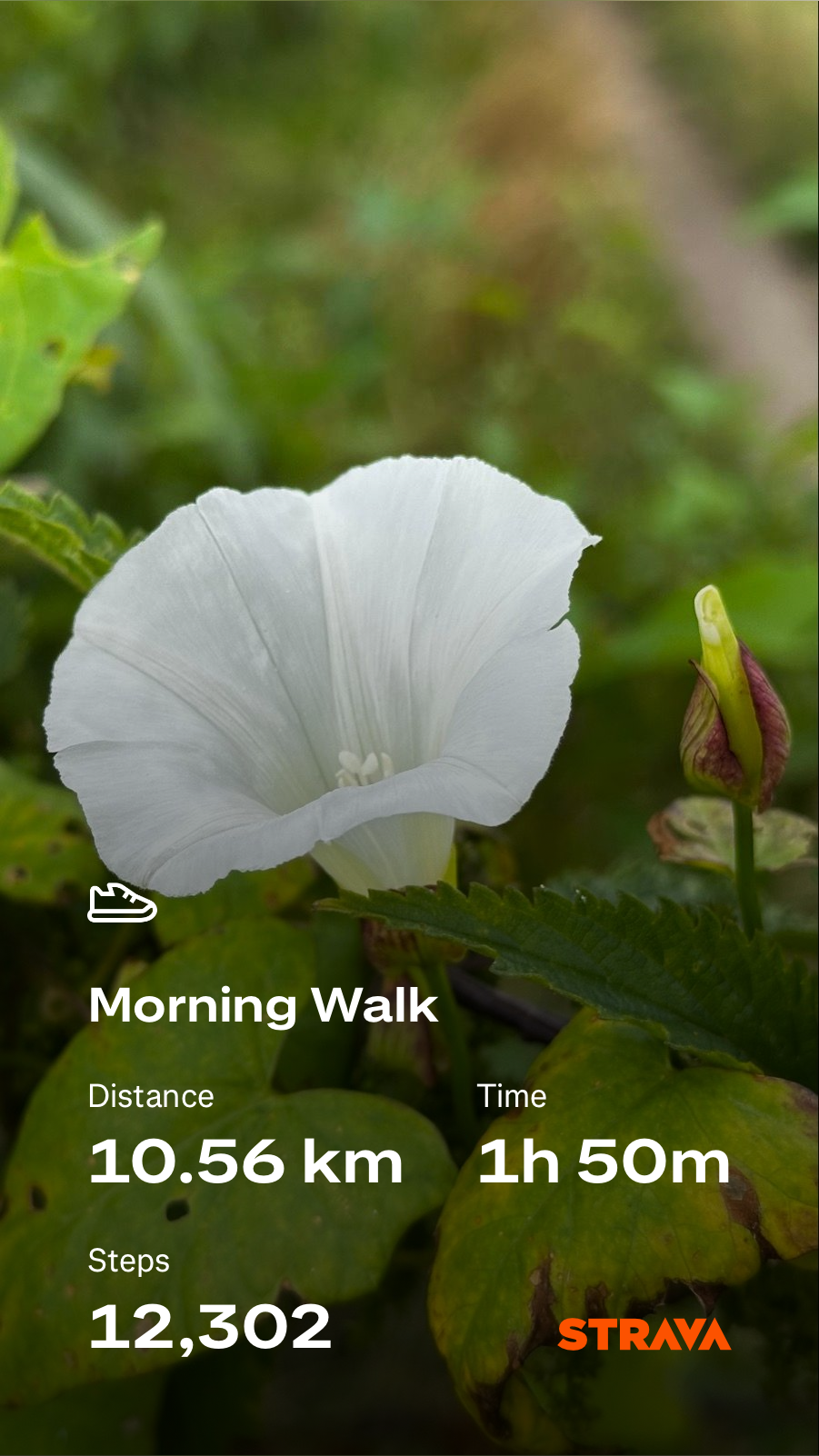 ba02c381-6067-4bbd-8835-42f9e4155e24