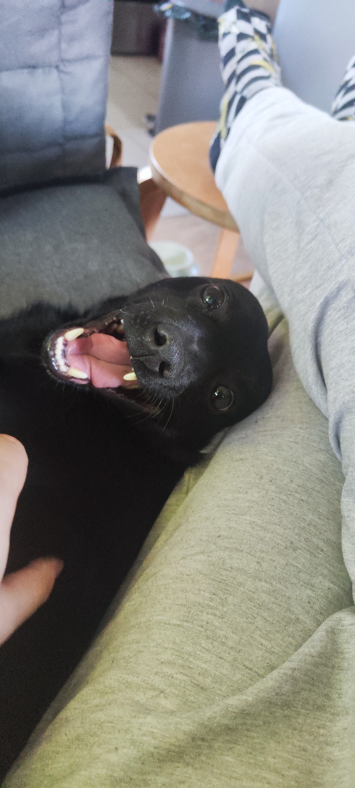 7315055d-b590-47cf-8e2d-9df14d3c458a