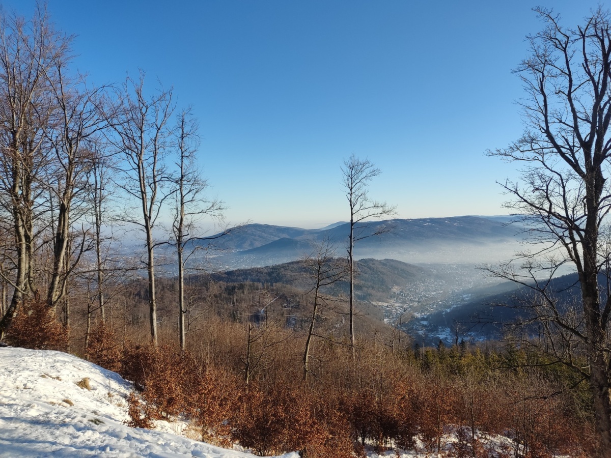 295f6fec-3730-4880-9a43-463b43dc4e3c