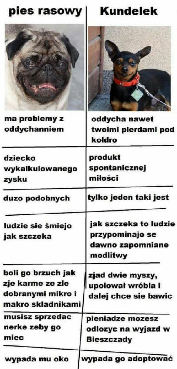 74fb90b9-efc5-498a-b450-e7e0168b9803