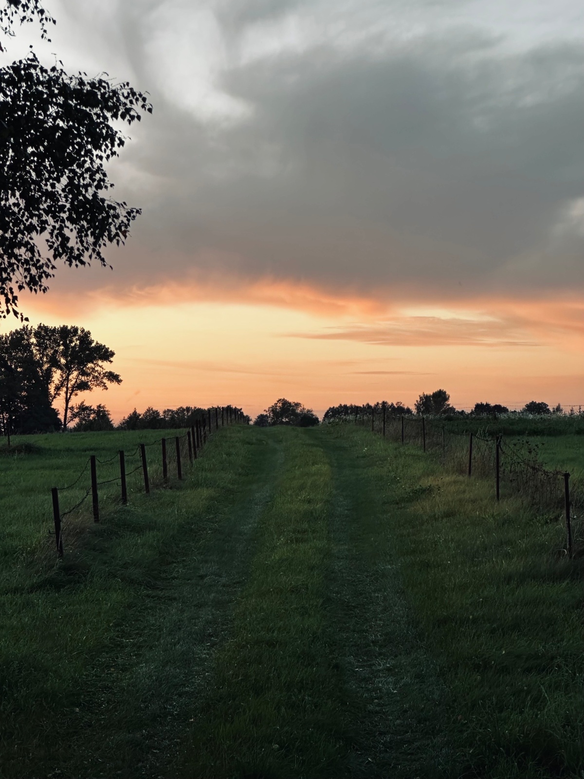 eafaef54-1e52-4a9e-a522-b591bb2e0adc