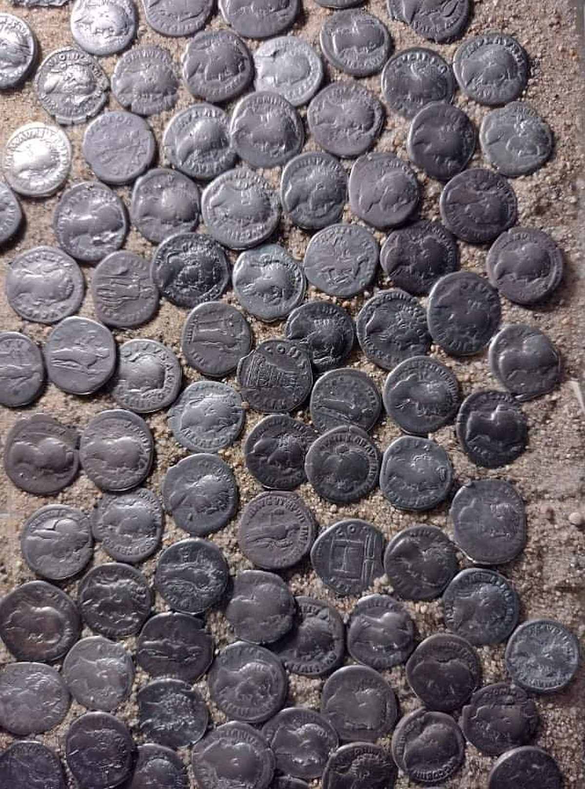 9540286d-3819-4f04-bcd7-ed62f6fb2b68