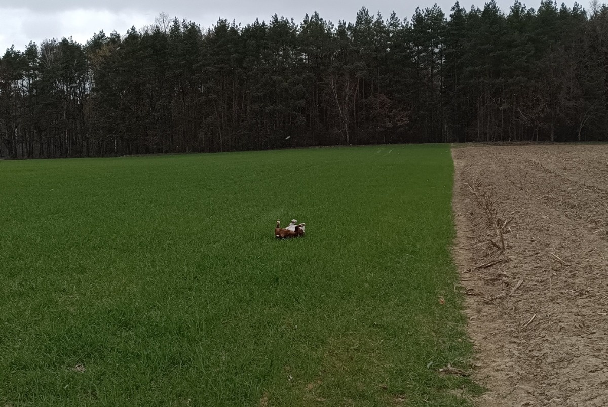 4a17ec7c-8e67-4aae-a05a-7bbb31a86028