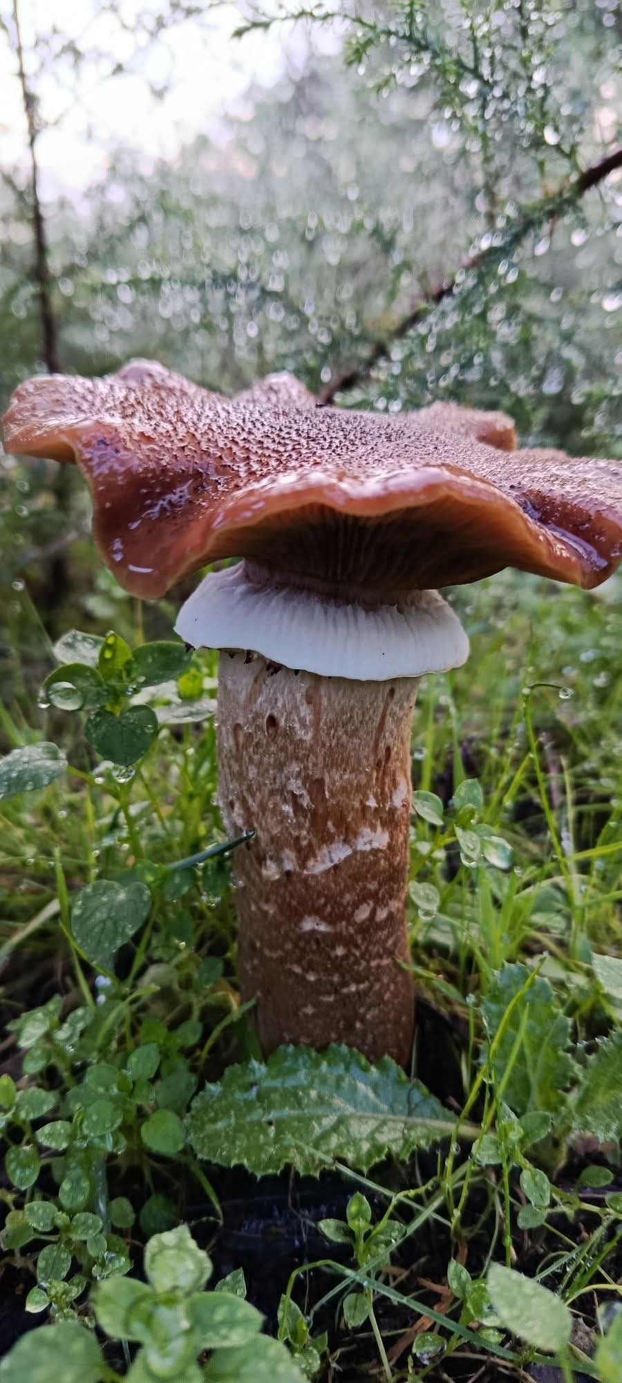 34b1f29f-4aab-4b3b-90b6-f15faf2bb80f