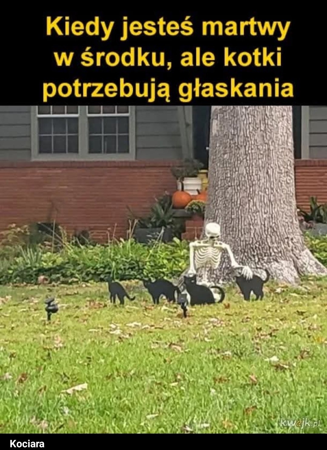 5006b5b1-5f21-4894-bca2-53701d0fc582