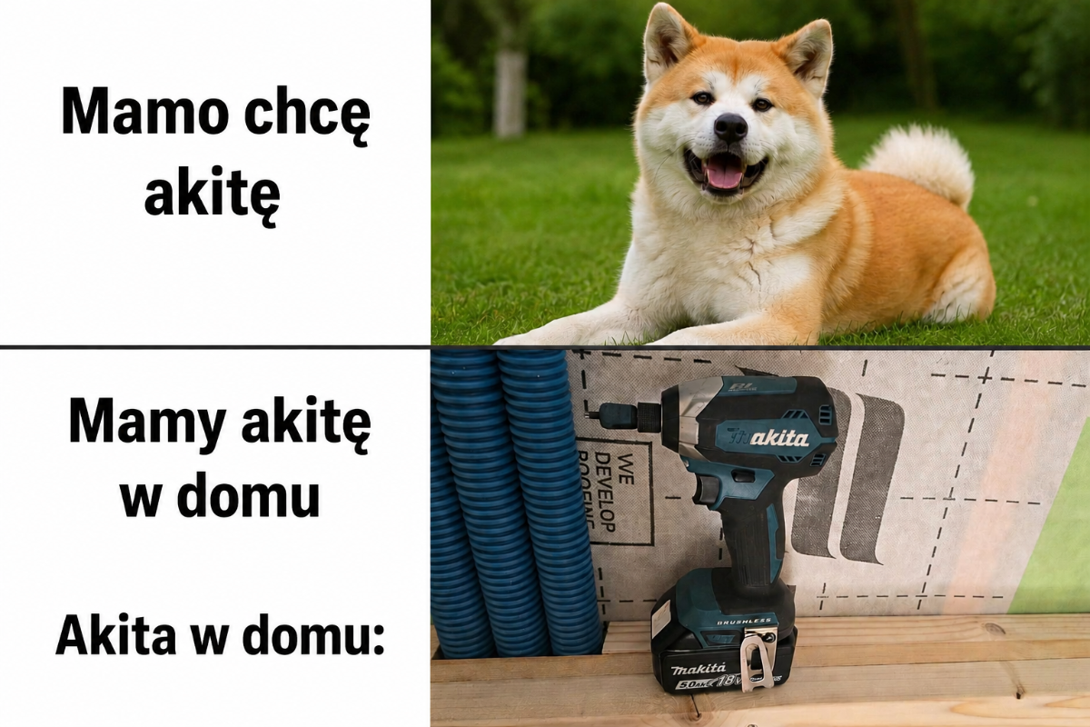be3d42e7-b5ee-4552-8b64-f76b85488d13