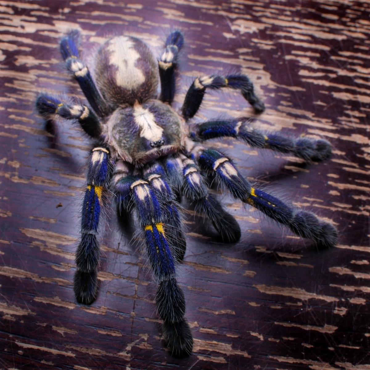 b99cb435-6a7f-49dc-ac6a-595070925f1e