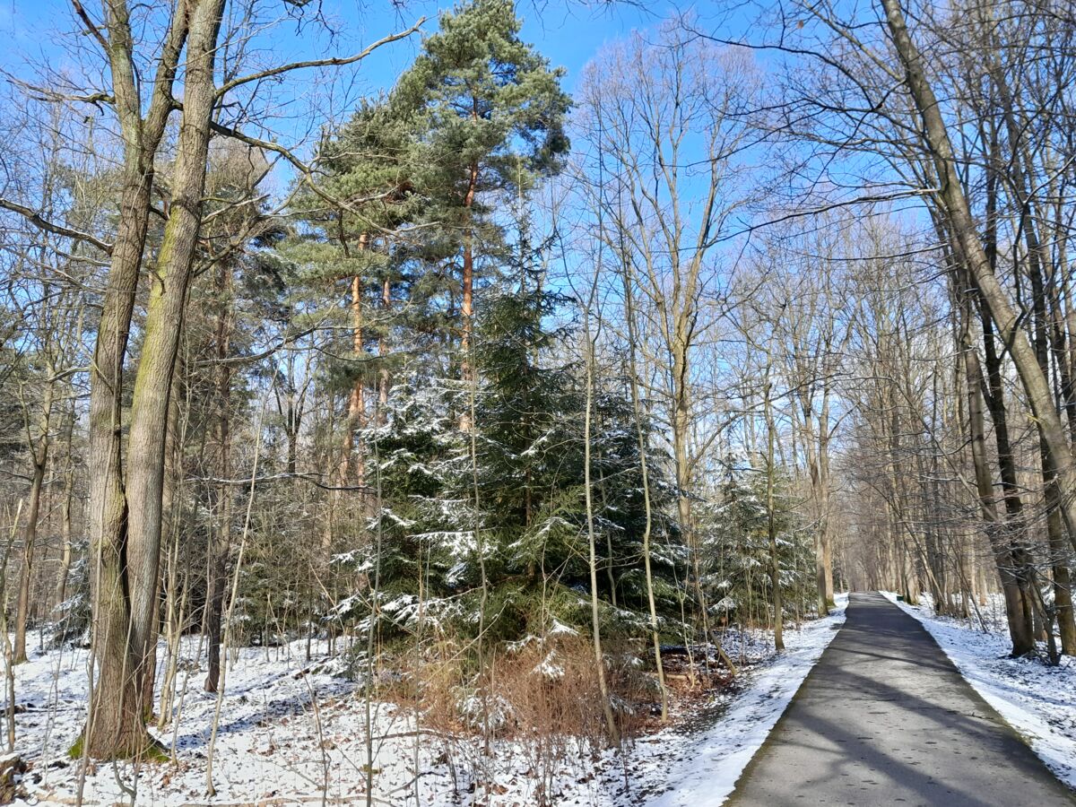 f77159bd-d2e6-4630-9a7f-d9f78376fbb2