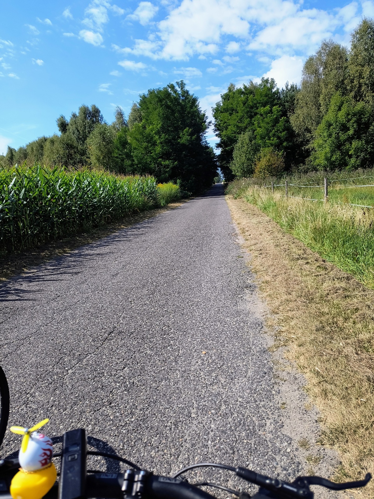 bdecac5b-682b-476b-ab43-ce2d70baf3cf